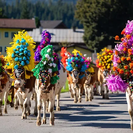 Mauerhof Top1 - Urlaub Am Bauernhof * Kirchberg in Tirol